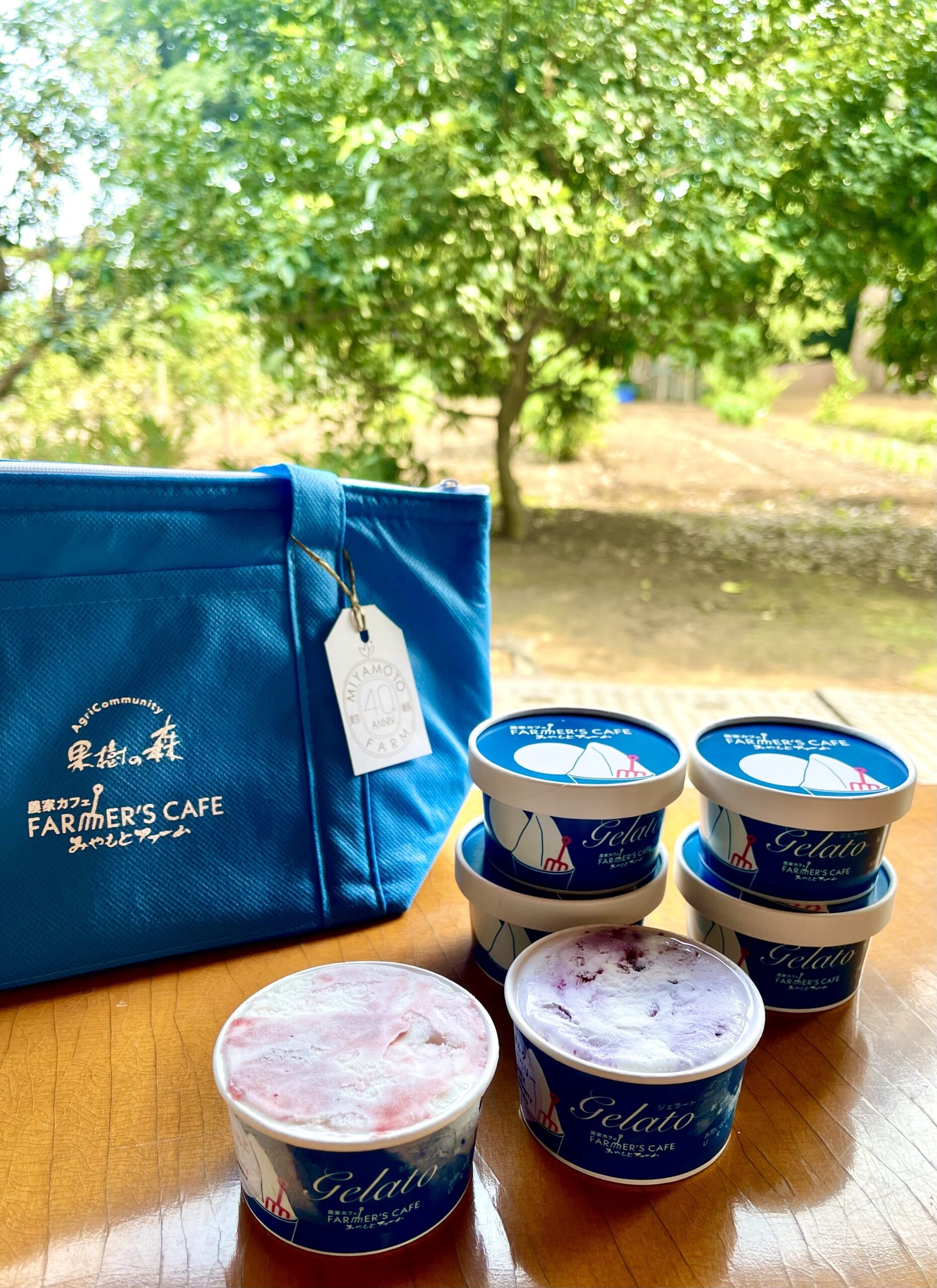 お持ち帰り用ジェラート