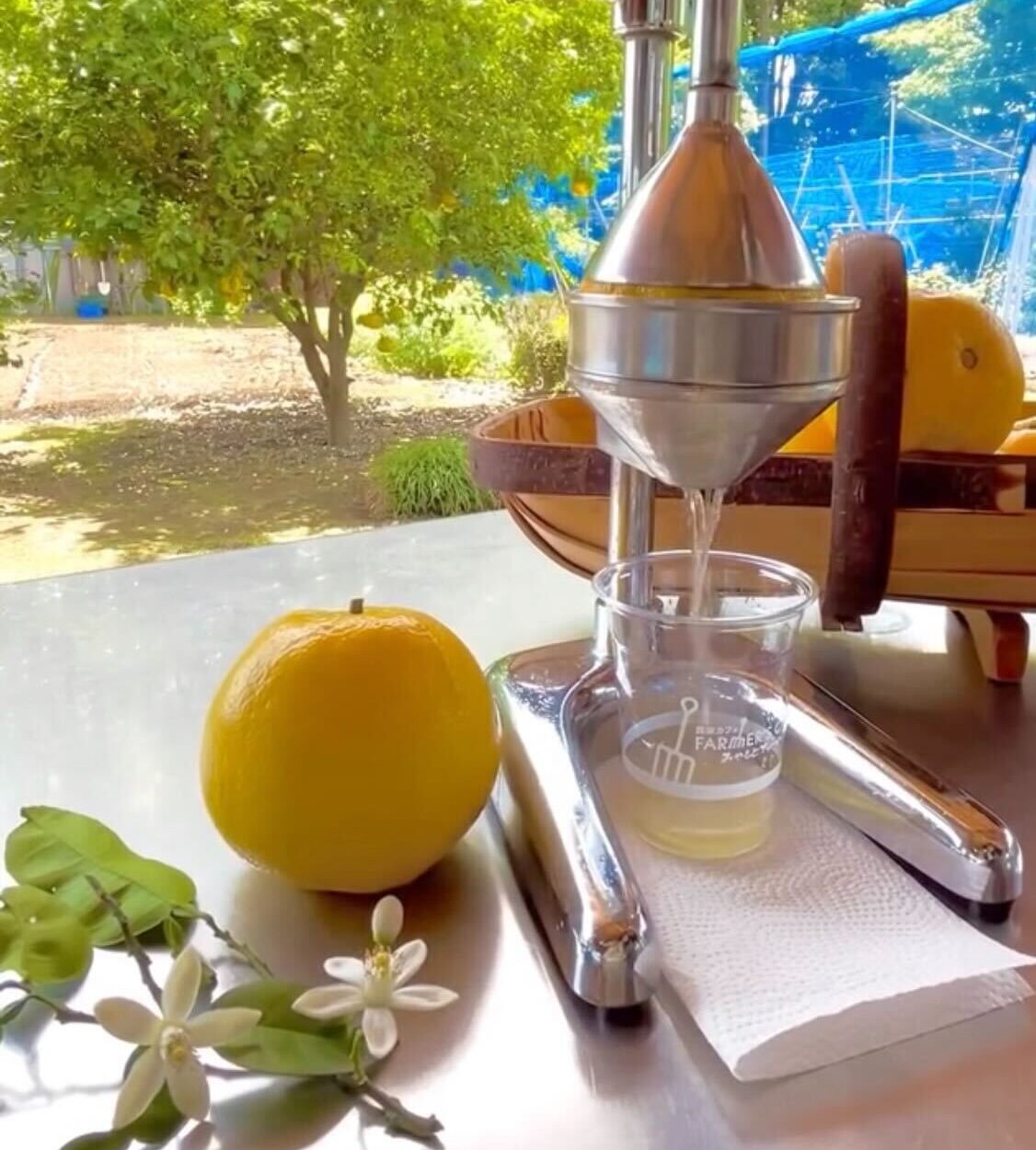 季節の搾りたてジュース