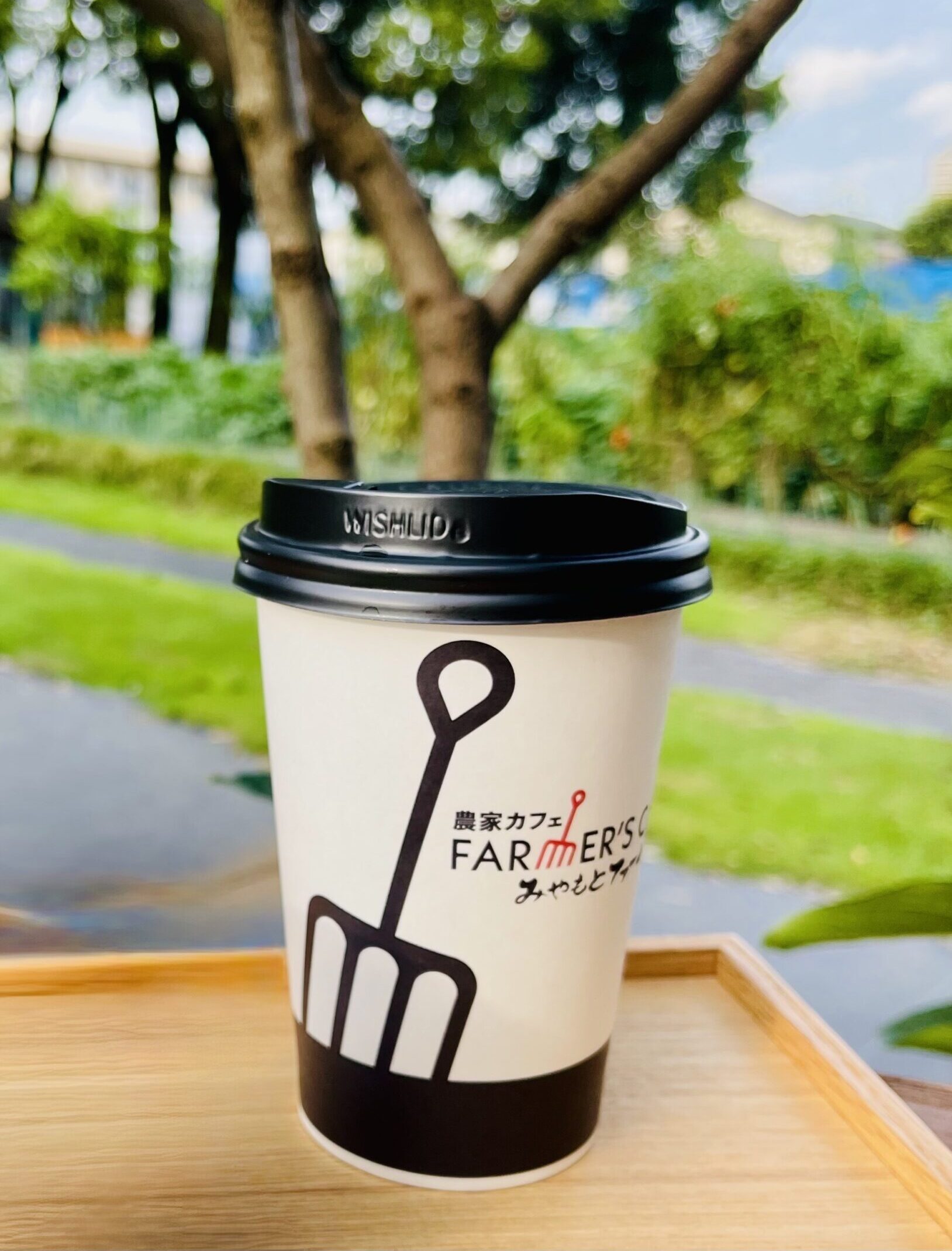 ホットコーヒー