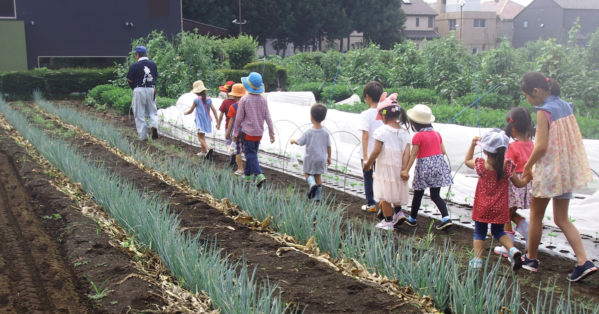 みやもとファーム - 東京都練馬区高松にある体験農場